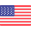 Selected language flag